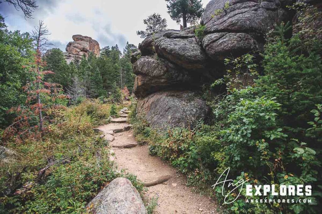 Lumpy Ridge Trail