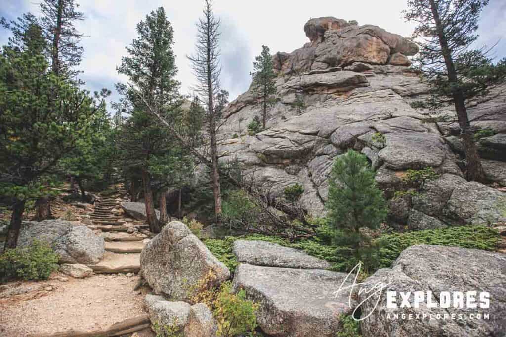 wide view of lumpy ridge trail