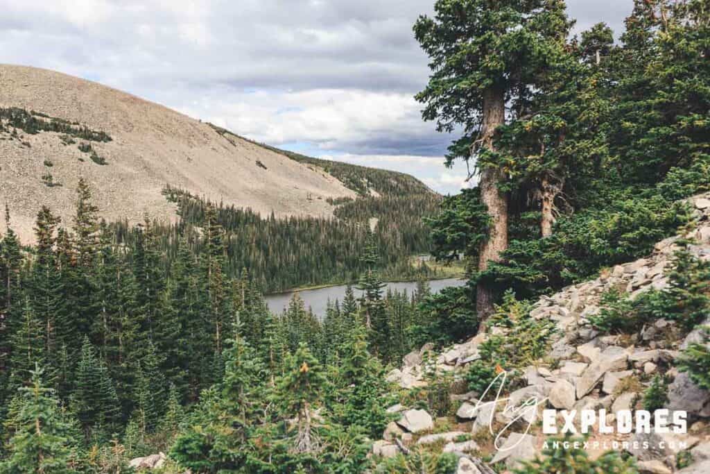 view from above mitchell lake