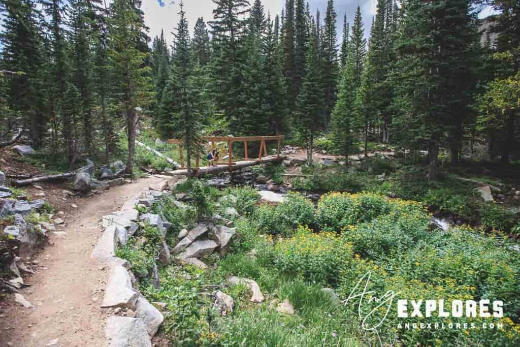 bridge on mitchell lake trail
