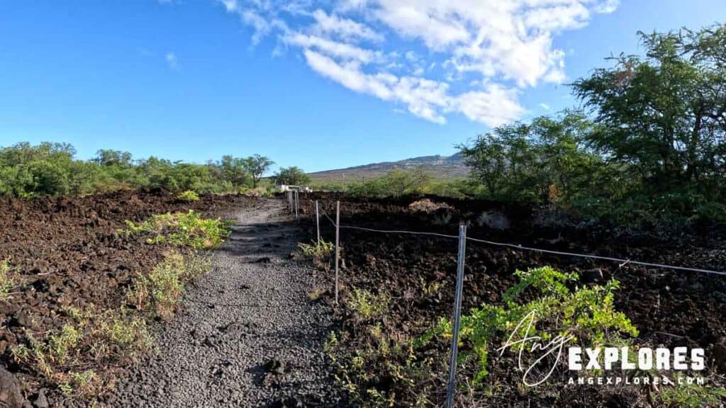 Path from parking lot to shore at Ahihi-Kinau Marine Preserve