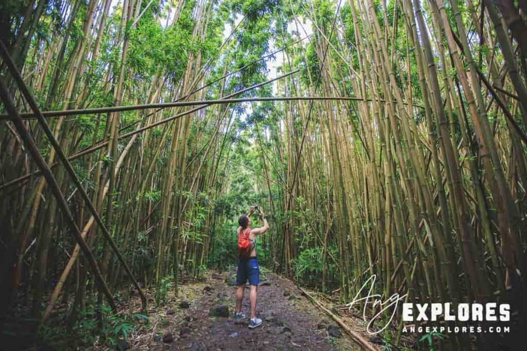 Standing in a giant bamboo forest on the pipiwai trail in Hana, Maui