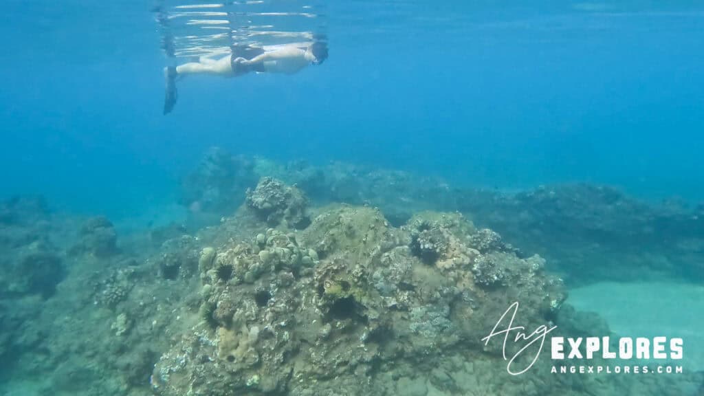 Snorkeling at Kamaole Beach Park III in Kihei, south Maui Hawaii