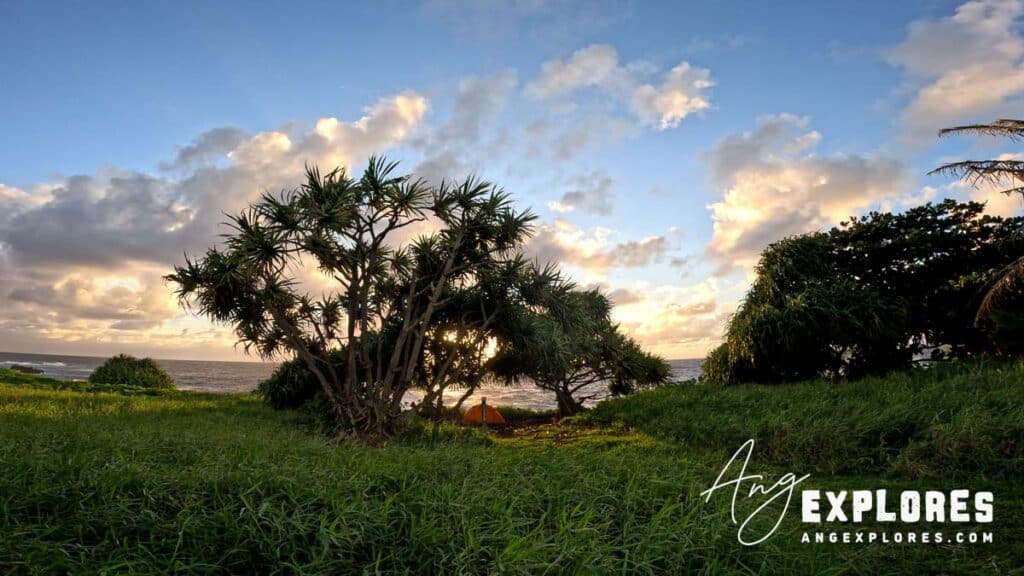 Tent on ocean cliff at Kipahulu Campground