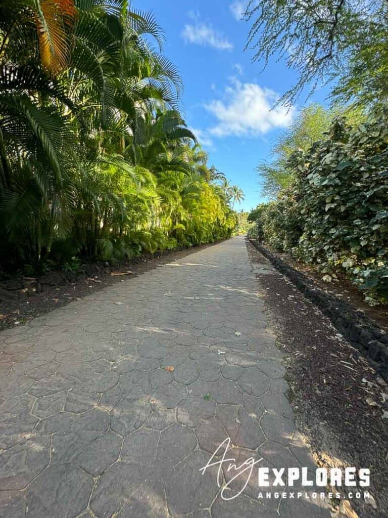 Path to Maluaka Beach Maui