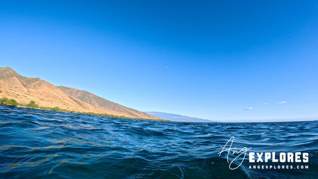 Snorkeling at Olowalu Beach in Maui
