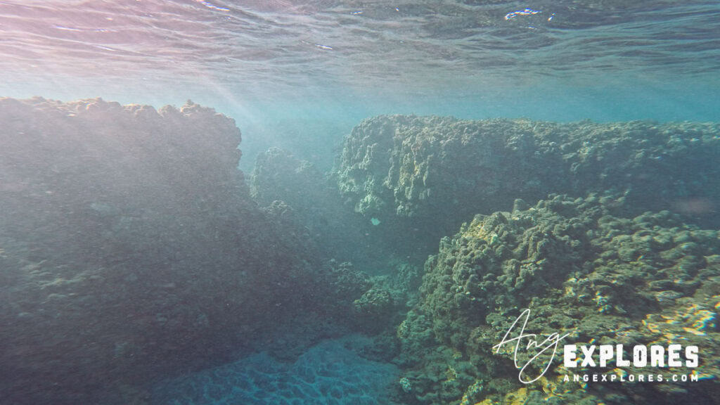 Underwater view of Olowalu Beach, Maui