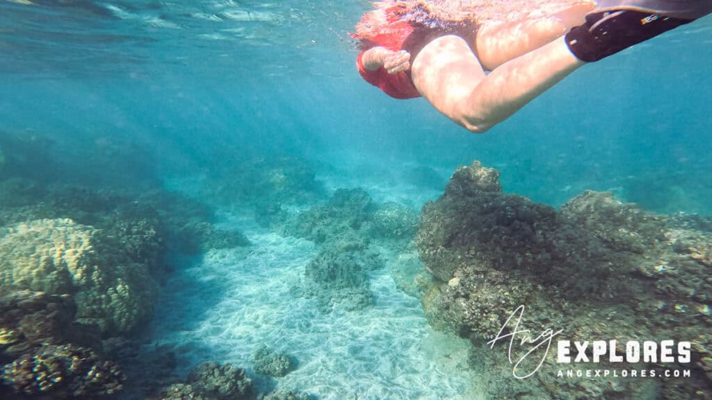 Snorkeling at mile marker 14, Maui