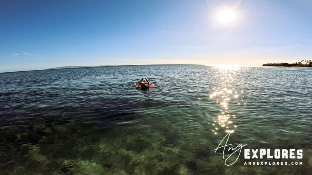 Above water view of snorkeler at mile marker 14, Maui