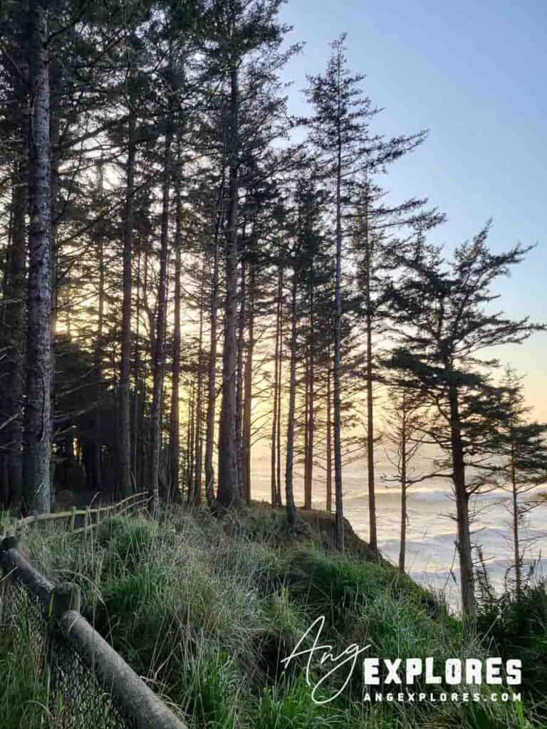 Ocean View at Arch Rock State Park