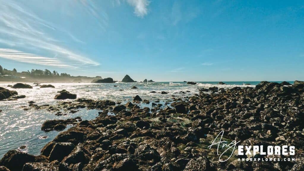 Harris Beach state park