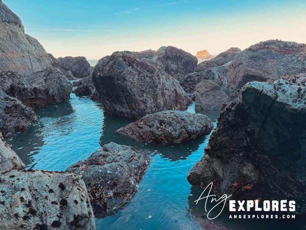 Harris Beach State Park Brookings Oregon