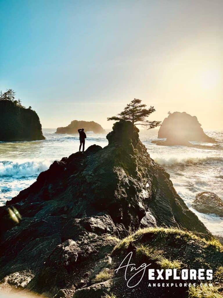 Oregon Coast Road Trip