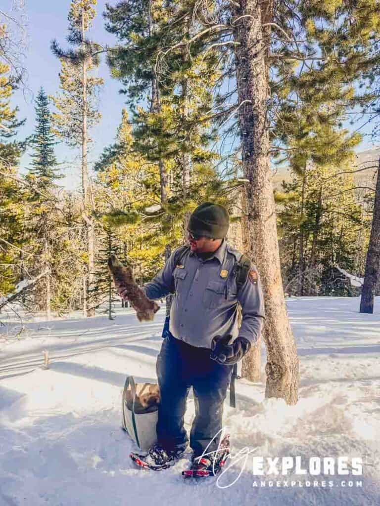 ranger led snowshoe hike in RMNP