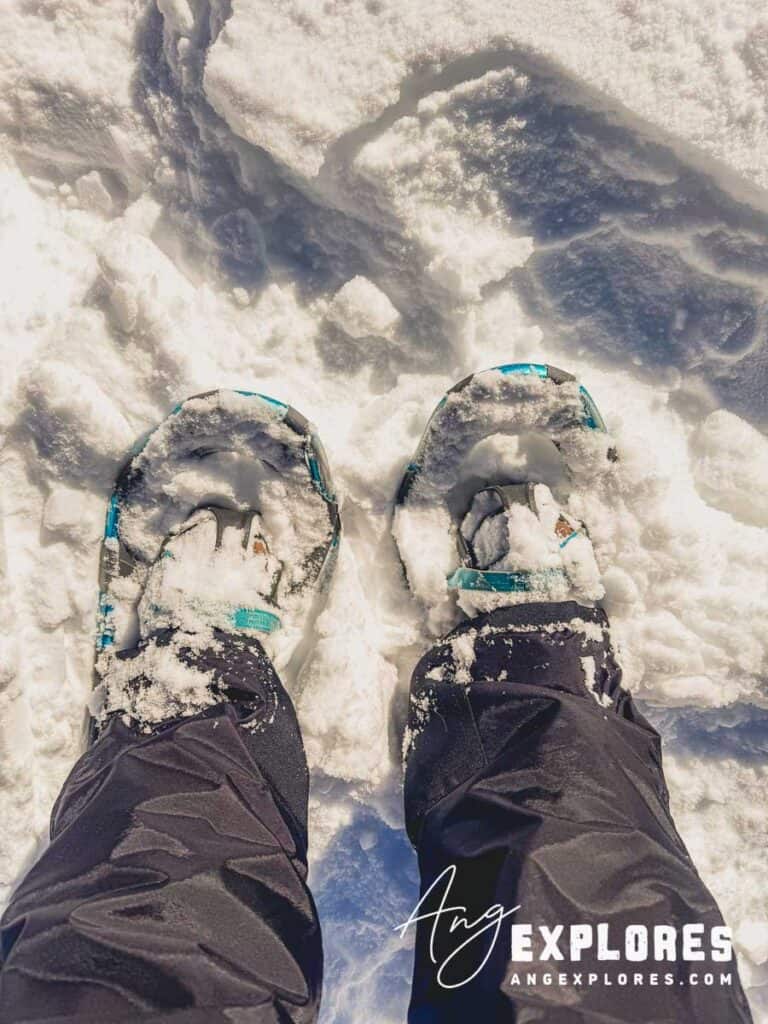 Snowshoeing at Rocky Mountain National Park, Estes Park Colorado