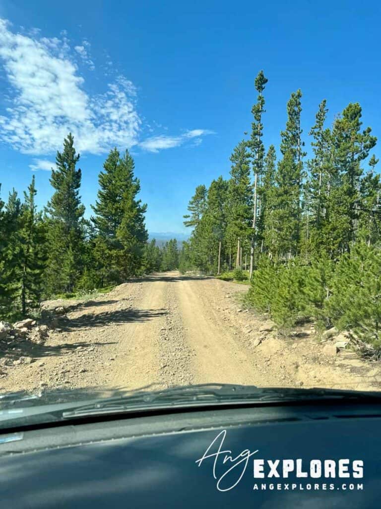 dirt road to Spruce Mountain Fire Tower Wyoming