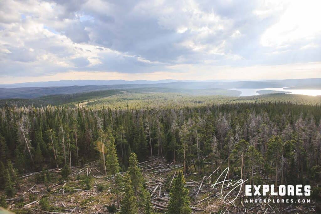 View of Rob Roy Reservoir from Spruce Mountain Fire Tower Wyoming