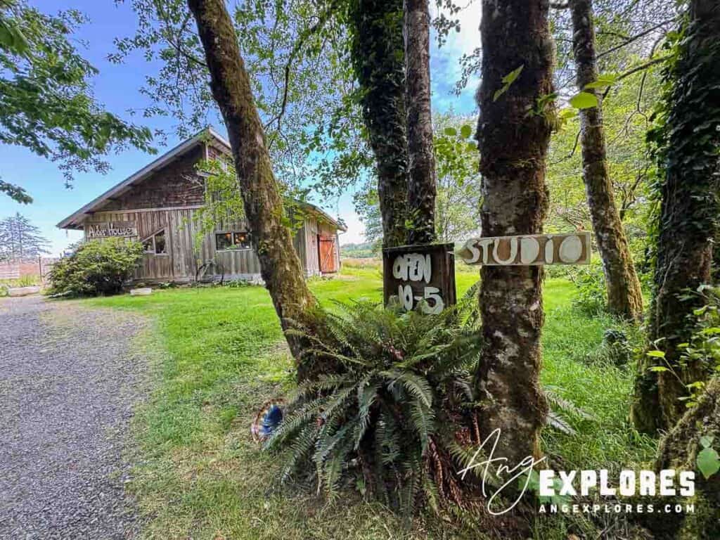 Tour Alder House in Oregon
