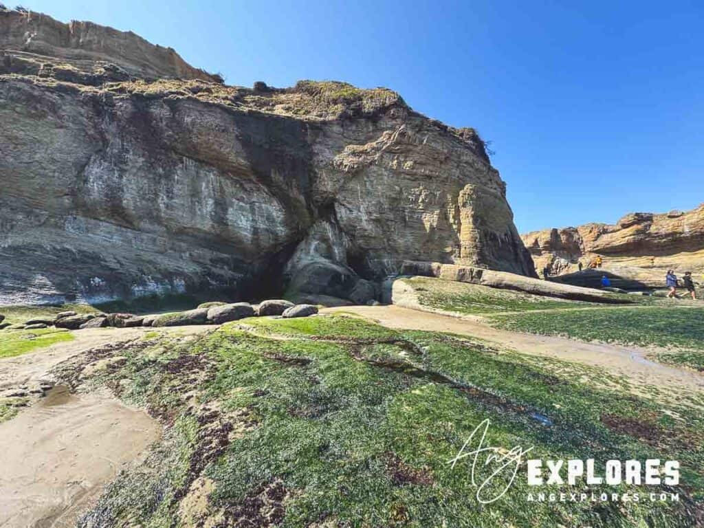 caves on otter crest beach