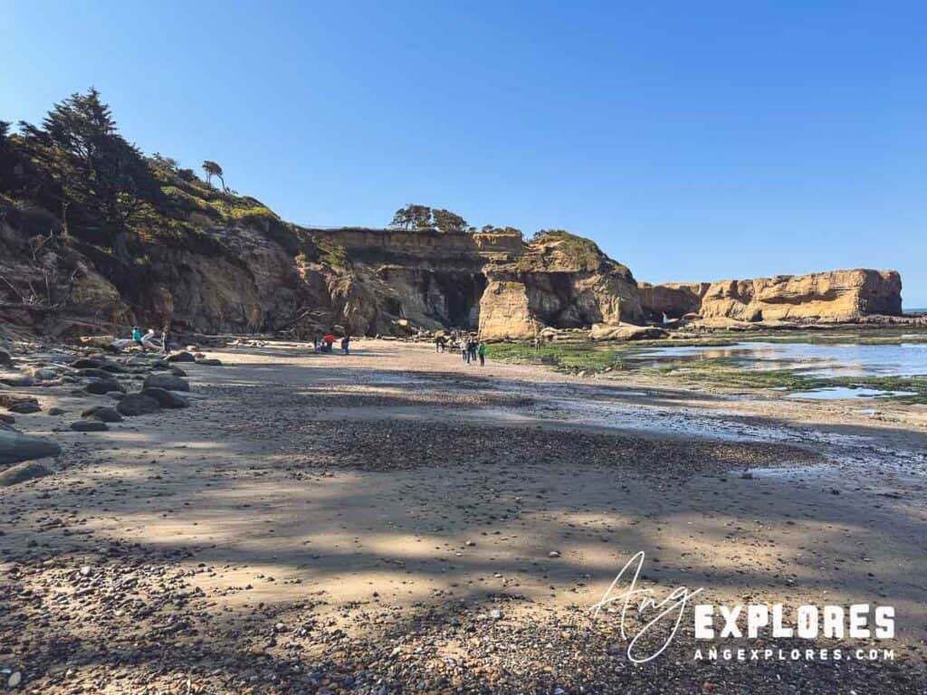 otter crest beach oregon