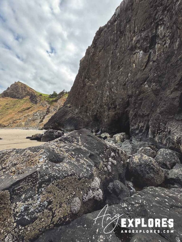 roads-end-cliff basalt cliff at roads end