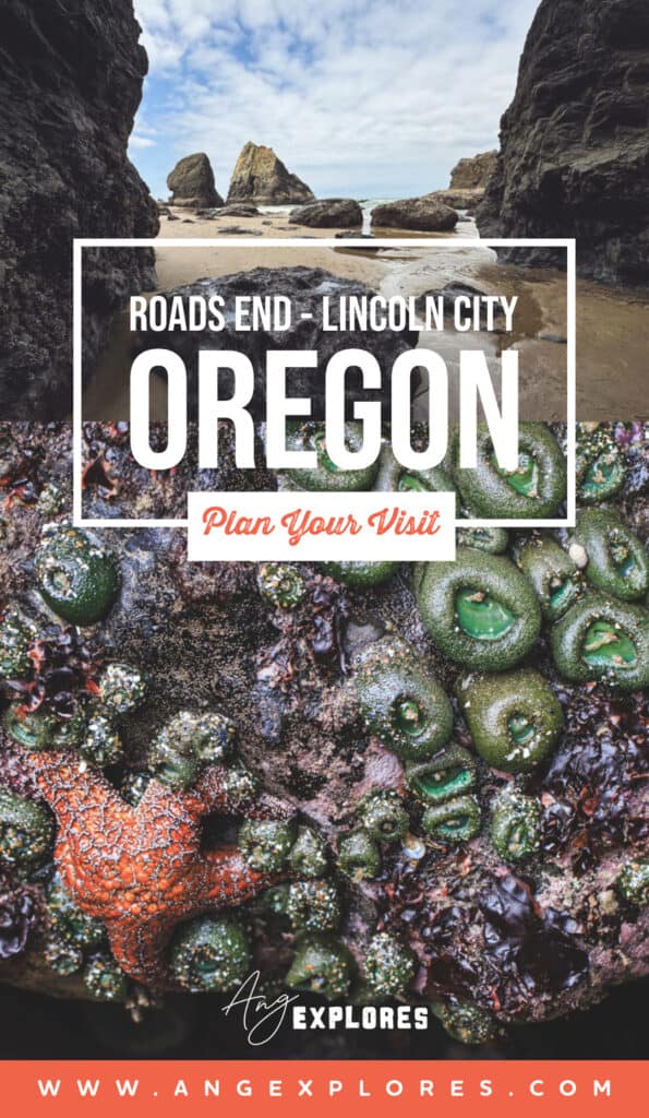 roads-end-lincoln-city-plan-your-visit roads end lincoln city plan your visit