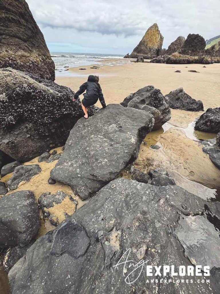roads-end--scrambling-secret-beach crossing to hidden cove