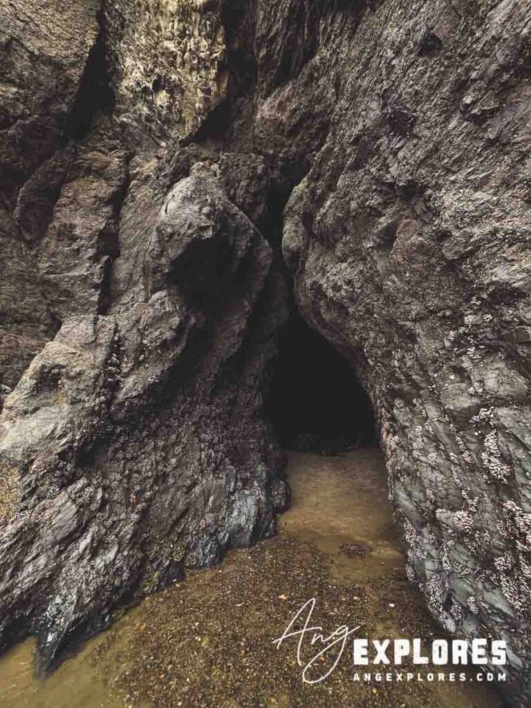 roads-end-sea-cave-low-tide entrance to a cave at roads end oregon