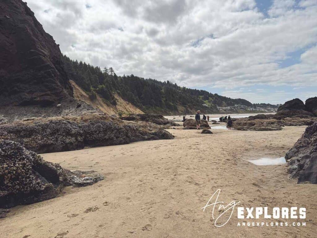 roads-end-tide-pools-2 roads end