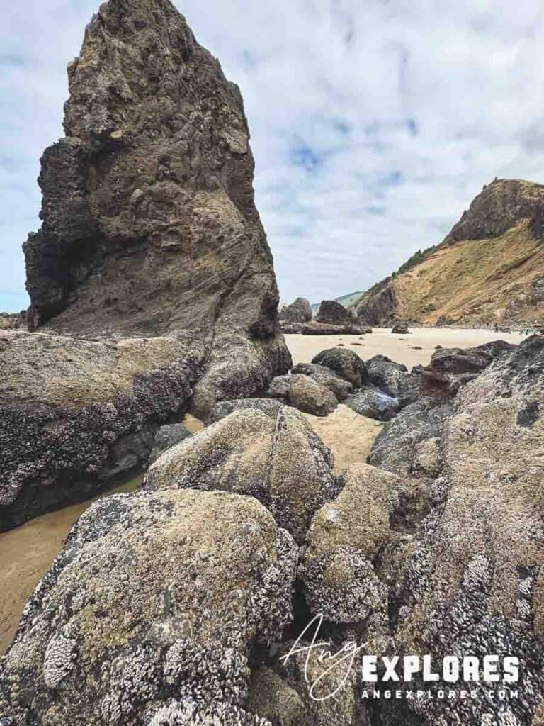 scrambling-to-secret-cove-oregon-coast crossing to hidden beach