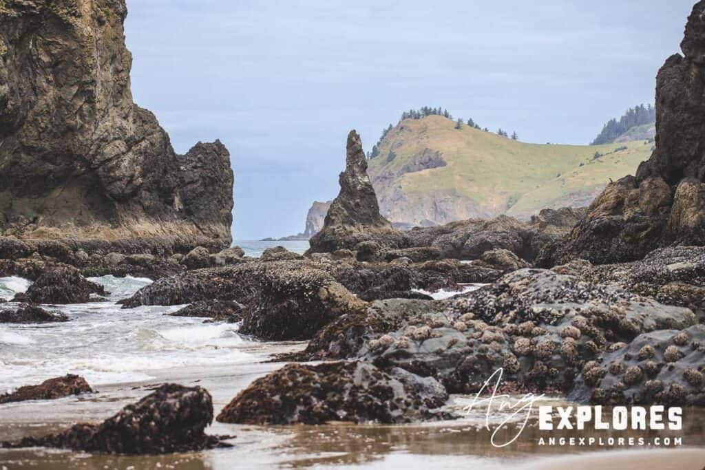 sea-stacks-roads-end sea stacks and tide pools at roads end