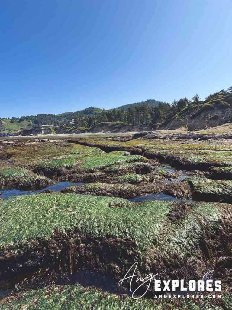 slippery rocks at devils punchbowl