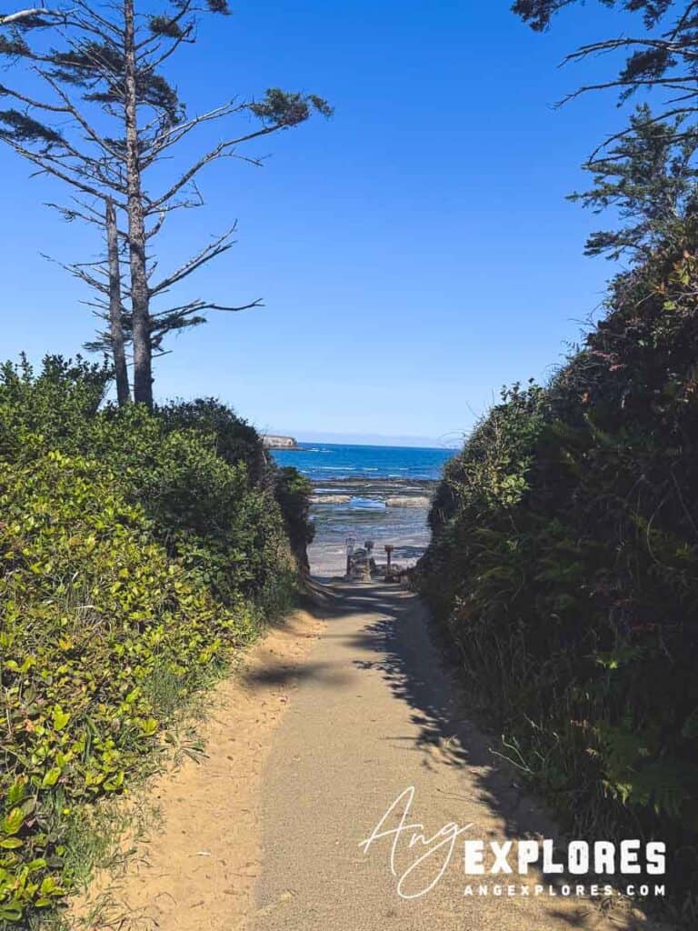 trail to otter crest beach