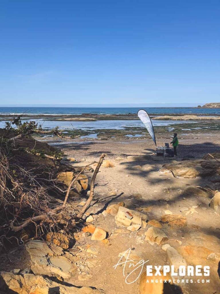 volunteer at otter crest beach