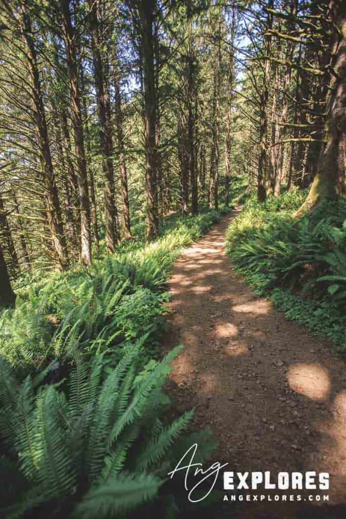 forest trail lincoln city oregon