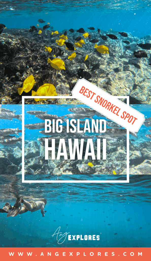 Best Snorkel Spot on the Big Island