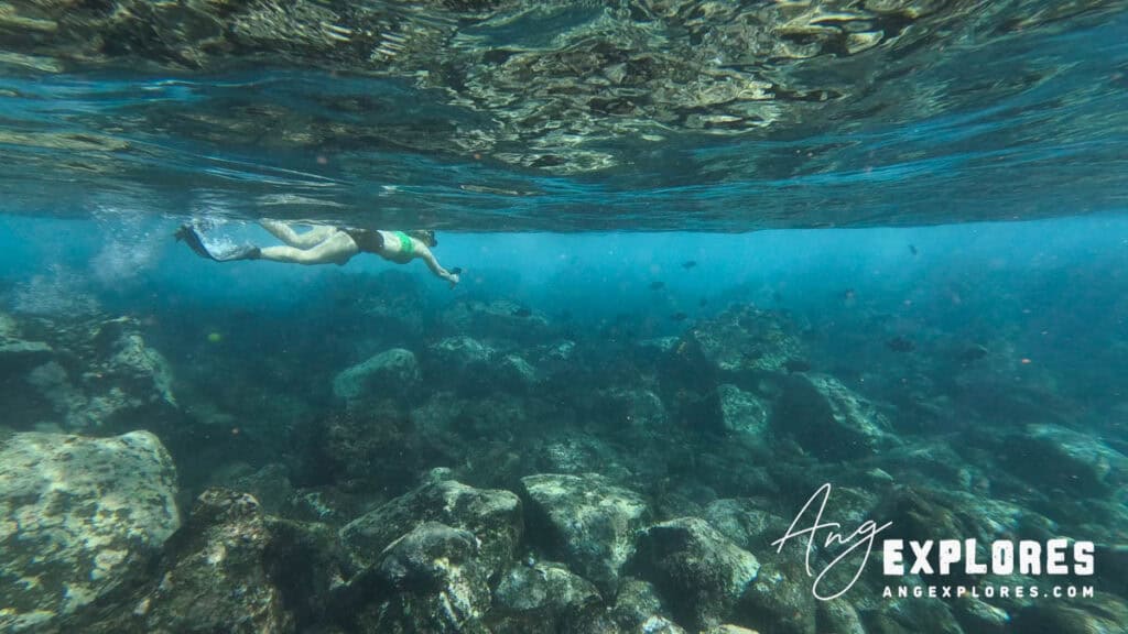 snorkeling near captain cook monument