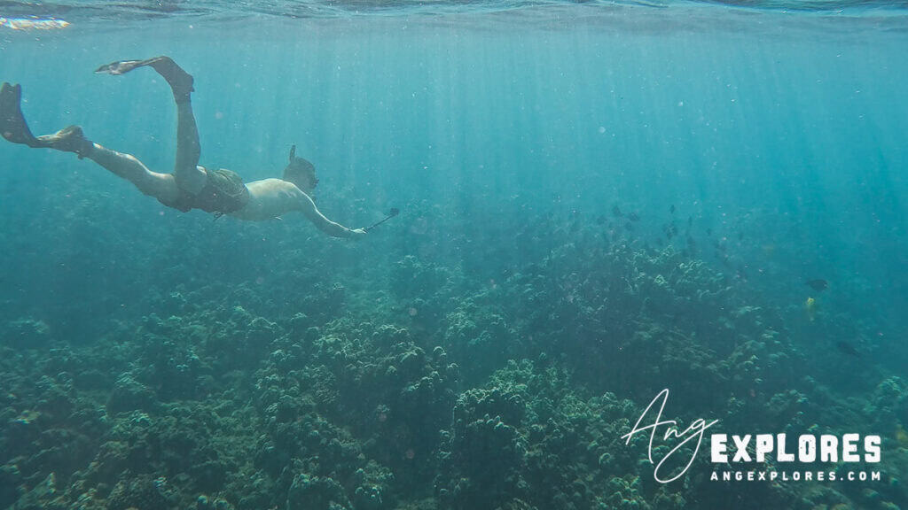 freediving at kahekili beach