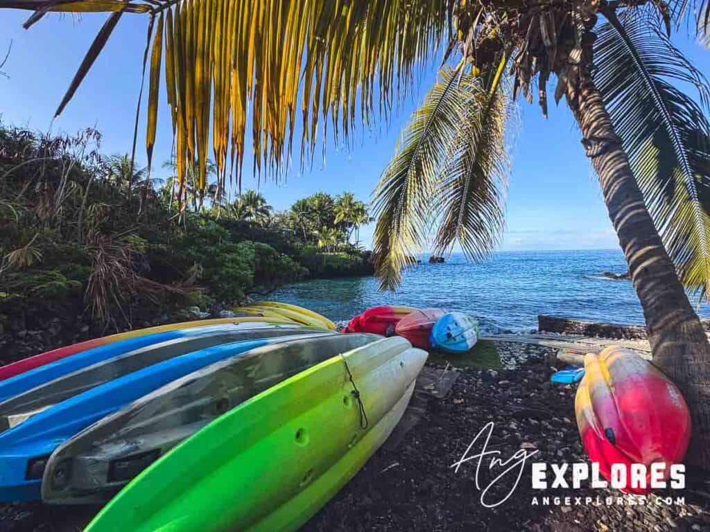 Colorful kayaks on a tropical beach under palm trees with ocean view in the background.