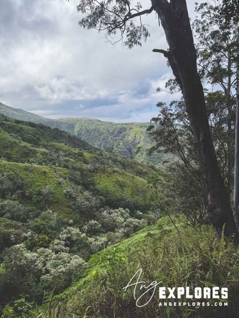 Makamakaole Falls Maui from waihee ridge trail