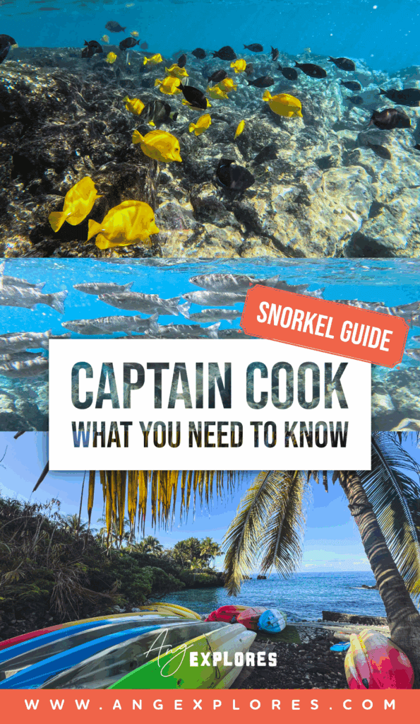 What you Need to Know - Snorkeling Captain Cook - A Snorkel Guide