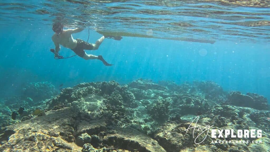 snorkeler towing kayak