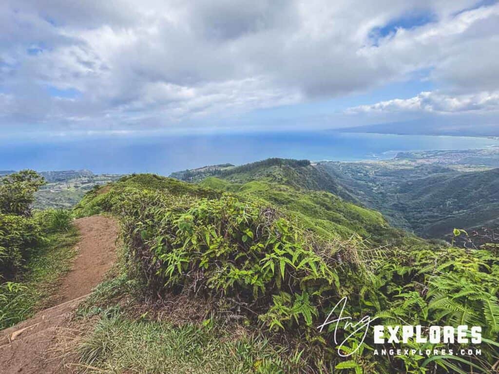 Ocean vistas on Maui hike