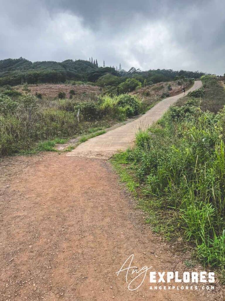 Concrete ramp at start of waihee ridge trail