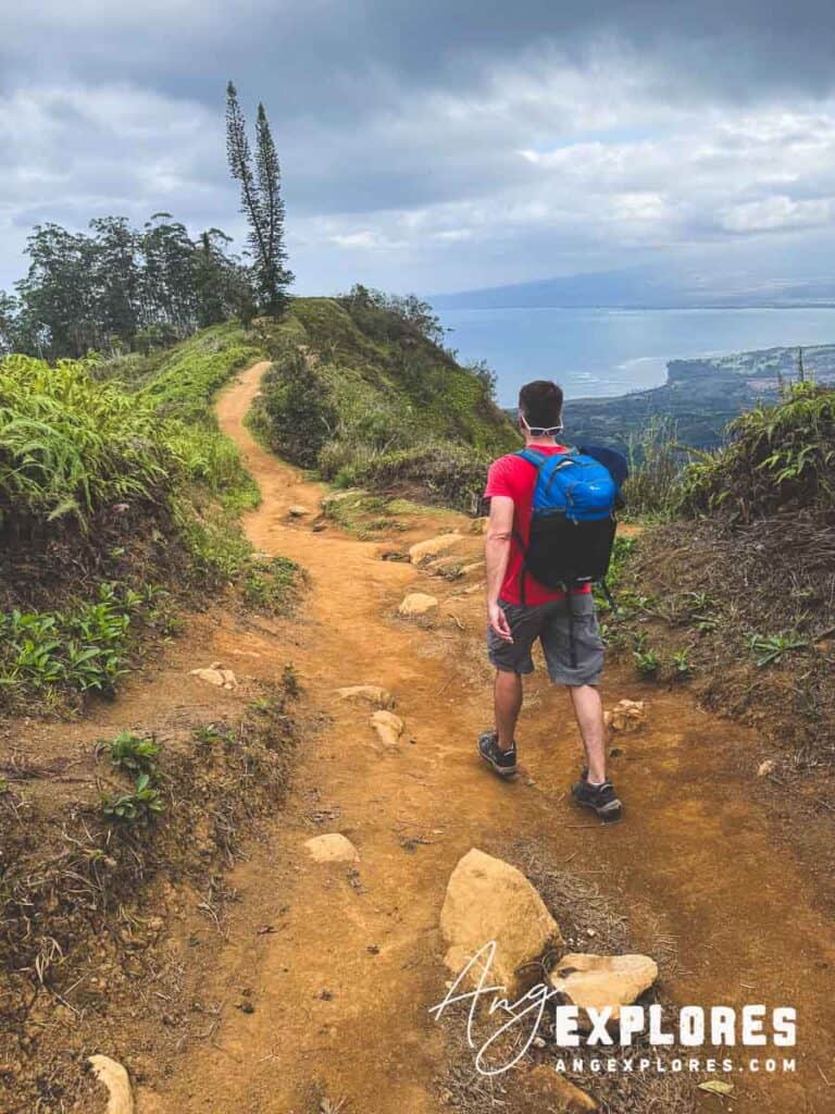 Hiker on Maui trail