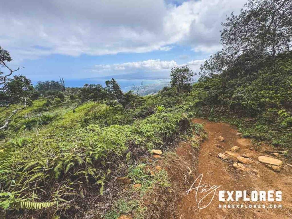 Ocean from from Maui hike