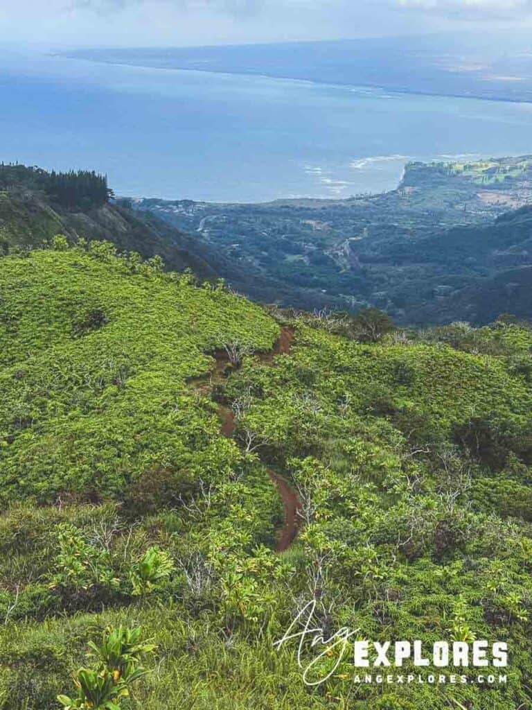 Trail at waihee ridge