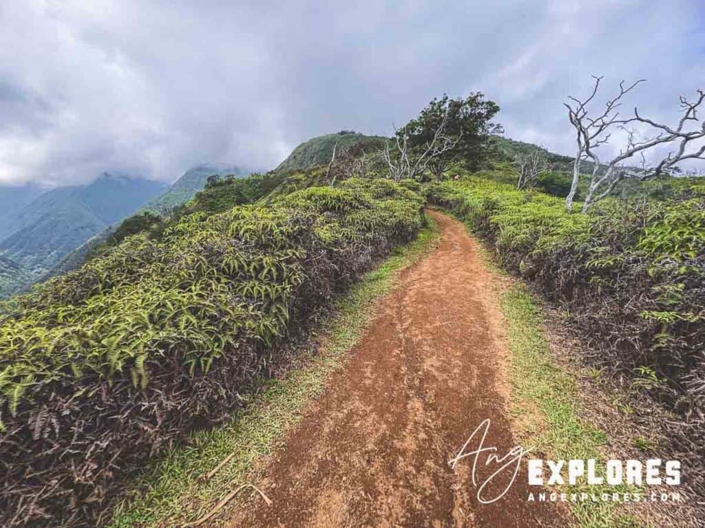 Clouds covering peaks on waihee ridge trail