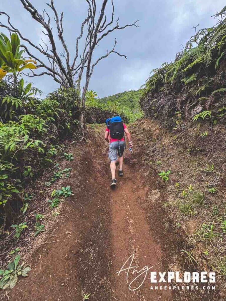Muddy trail Maui
