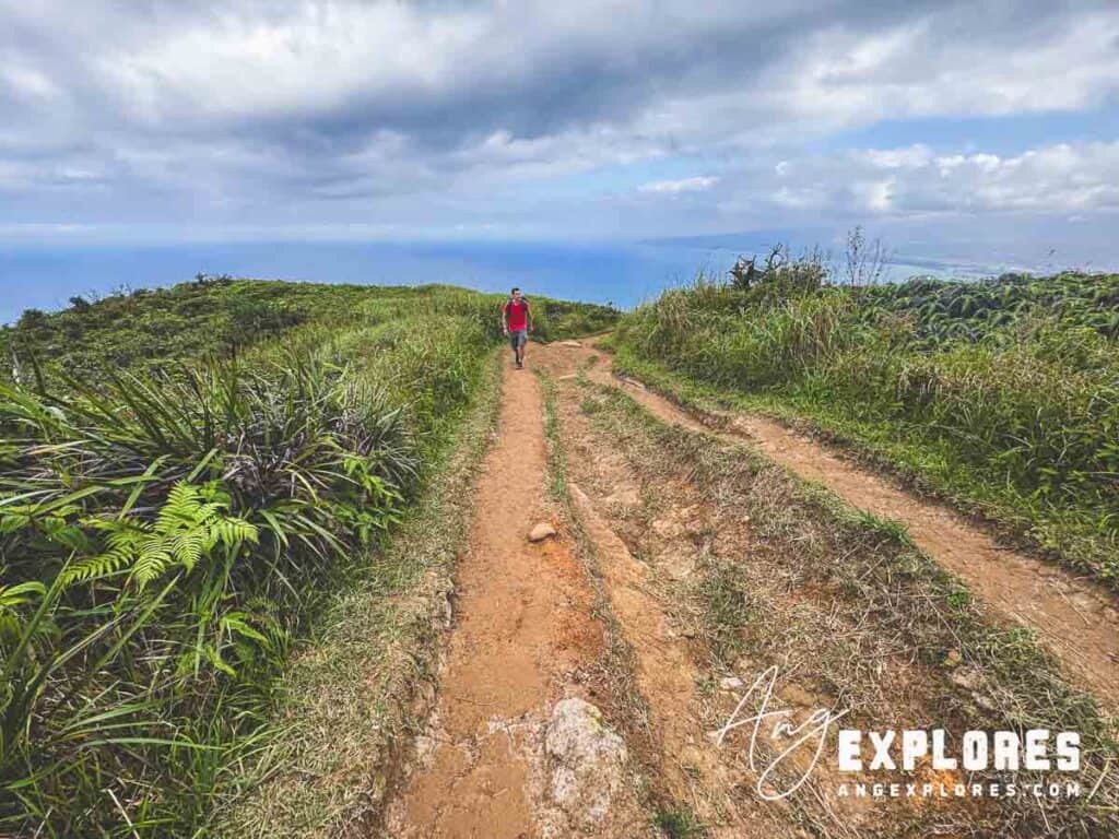 Views from waihee ridge hike